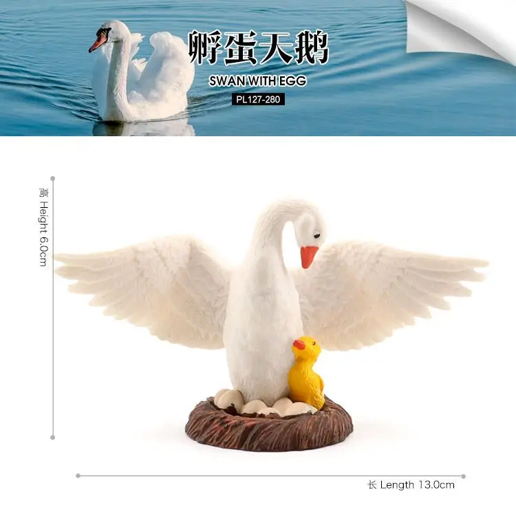 Simulation animal model static solid poultry toy swan white swan egg hatching children's cognitive figure ornament