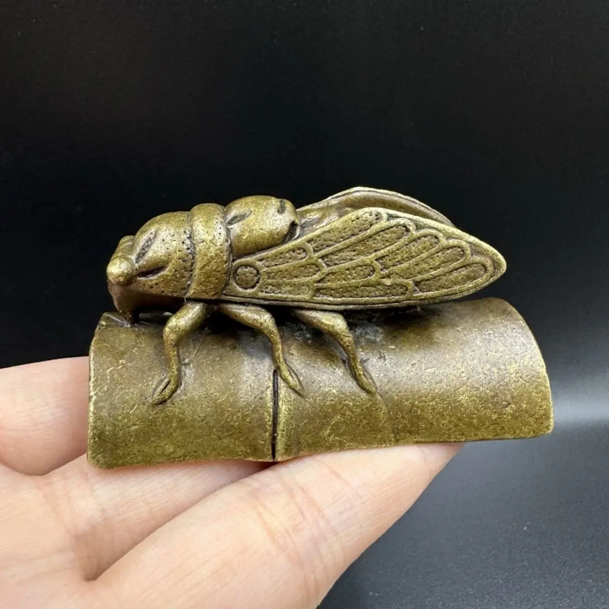Cicada insect pressed paper paperweight Statue Sculpture Figurine Home Decoration