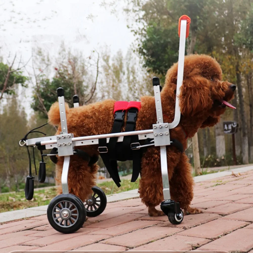 

Dog Wheelchair Pet Hind Limb Disability Paralysis Rehabilitation Wheelchair Animal Auxiliary Bracket Four-Wheeled Scooter