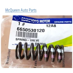 6650530120 Genuine Valve Spring Engine Cylinder Head Valve Spring For SsangYong REXTON ACTYON SPORTS KYRON STAVIC Auto Parts
