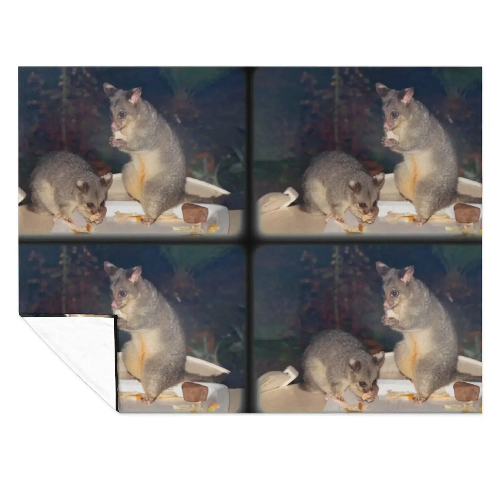 

Australian Brushtail Possum and Joey Throw Blanket Thins Hair Decorative Sofa Soft Plaid Blankets