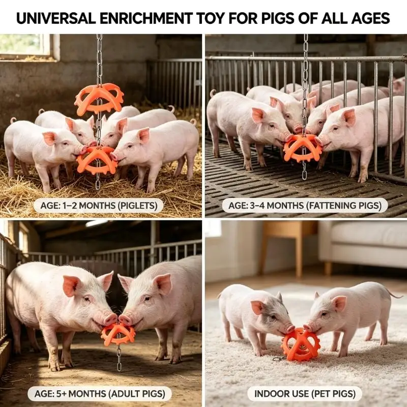 Weaning Pig Chew and Enrichment Toy with Hanging Chain, Daily Livestock Toy for Mouthing, Exploration, and Farm Use J0MC