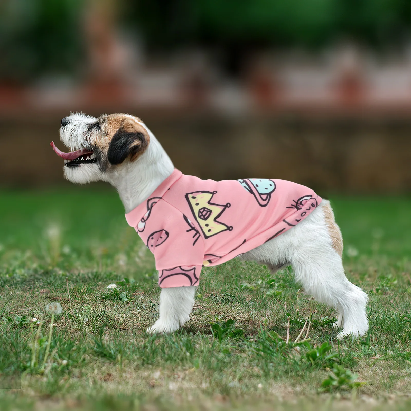 

Pet Clothes Winter Dog Clothes Xs Cute Cartoon for Small Dogs Cats Warm Thick Comfortable Thermal Puppy Coat Warm Dog Costume