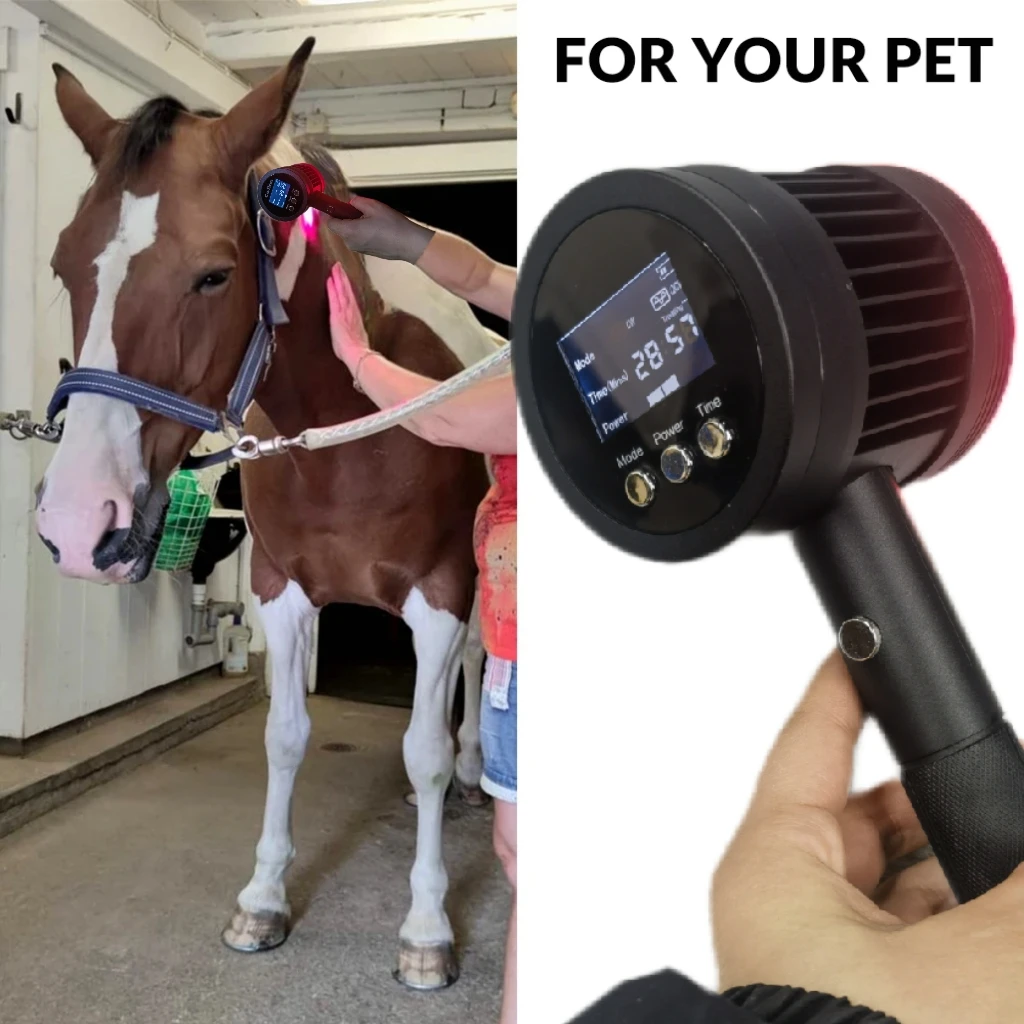 

Flagship Model for Humans & Pets 25-Laser Cold Therapy Device 5-Channel Deep Treatment + 19-Channel Surface Repair