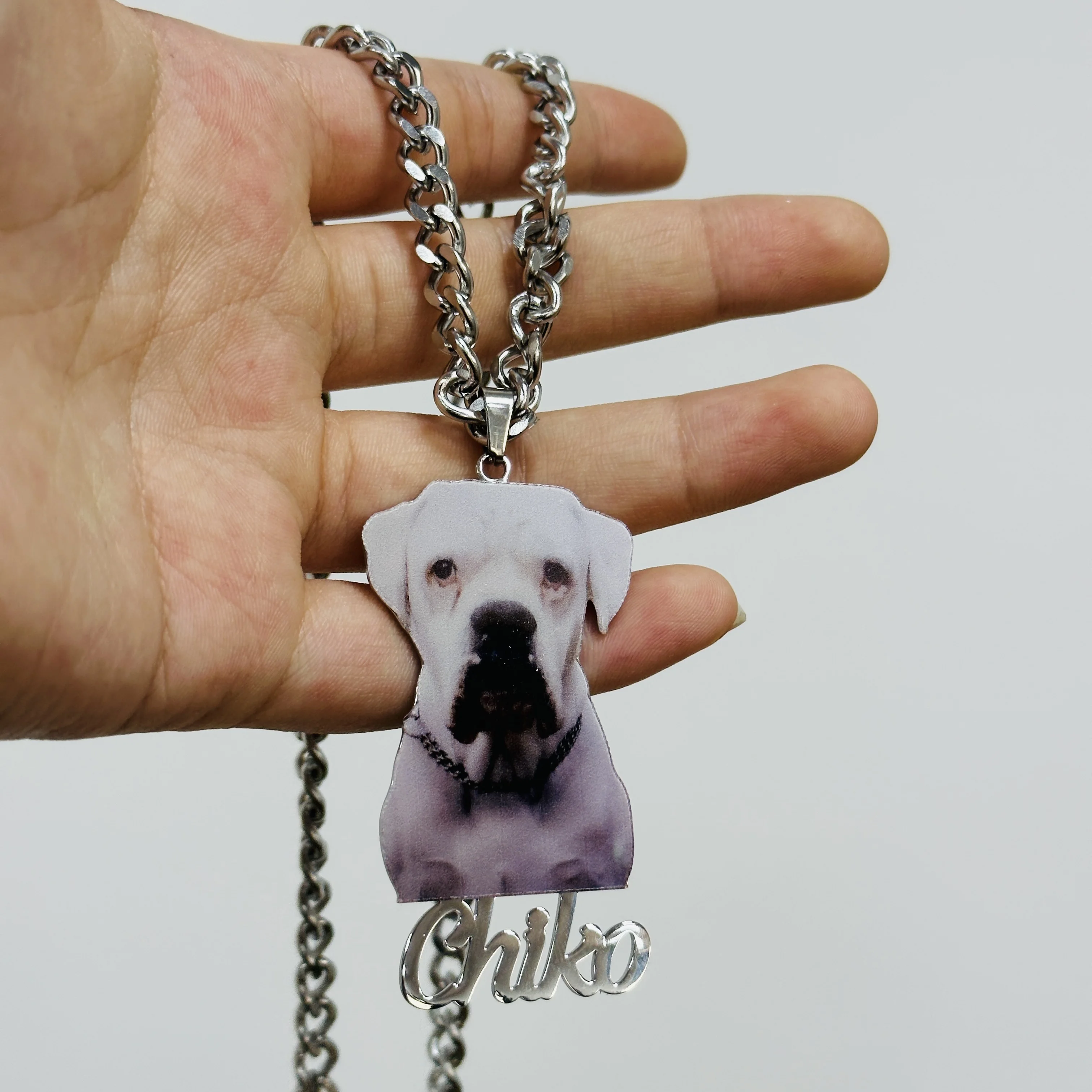 Personalized Customized Photo Necklace Stainless Steel Dog/Cat Pendant Necklace Pet Portrait Commemorative Jewelry Gifts