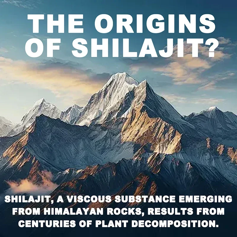 Shilajit - with Fulvic Acid, Energy & Cognitive Bone Immune Health, Antioxidant., Heart & Metabolism Health