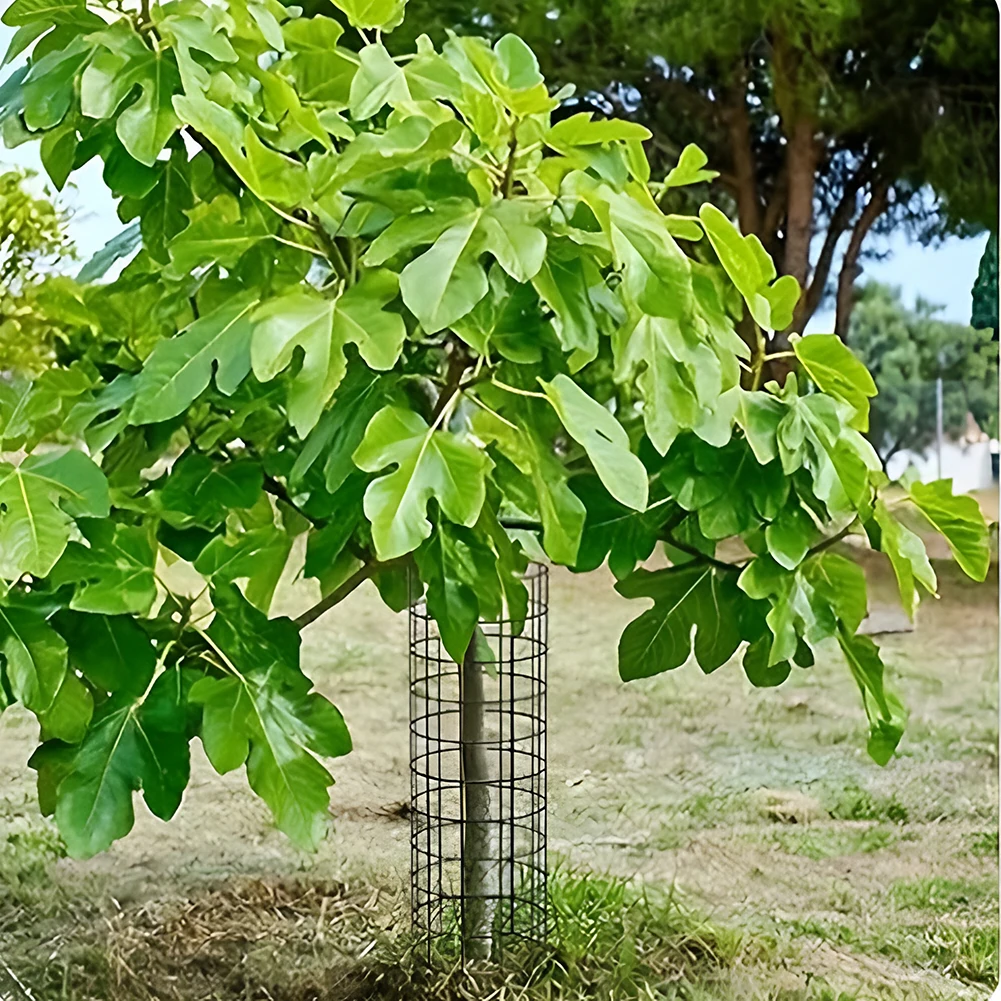 6 Pcs Plant Guard Protectors with Zip Ties & Stakes Metal Garden Protection Tree Wrap Cage Tree Wraps for Damaged Bark Protector