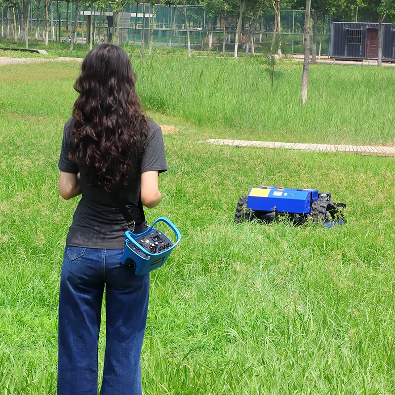 Customized  Factory Cheap Price Grass Robot Slope Crawler Remote Control Lawn Mower With CE EPA Certificate