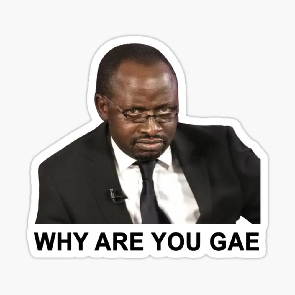 Why are you gae Sticker for Laptop Decor Bedroom Car Cute Cartoon Art Fashionable Public Suitcase