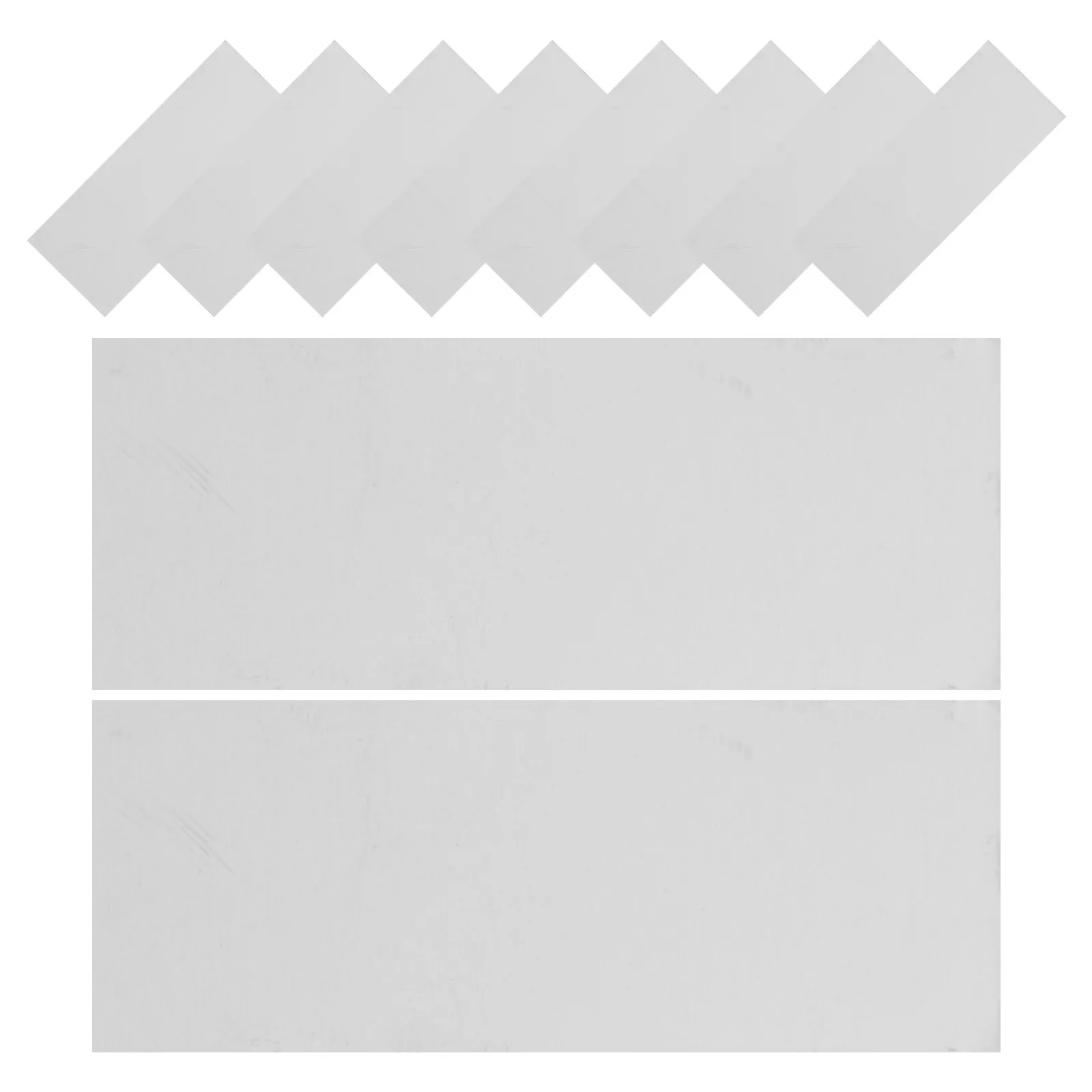 Feuilles d'expérimentation de fruits, 10 pièces, matériel de projet scientifique, fournitures d'expérimentation d'enseignement pour l'apprentissage