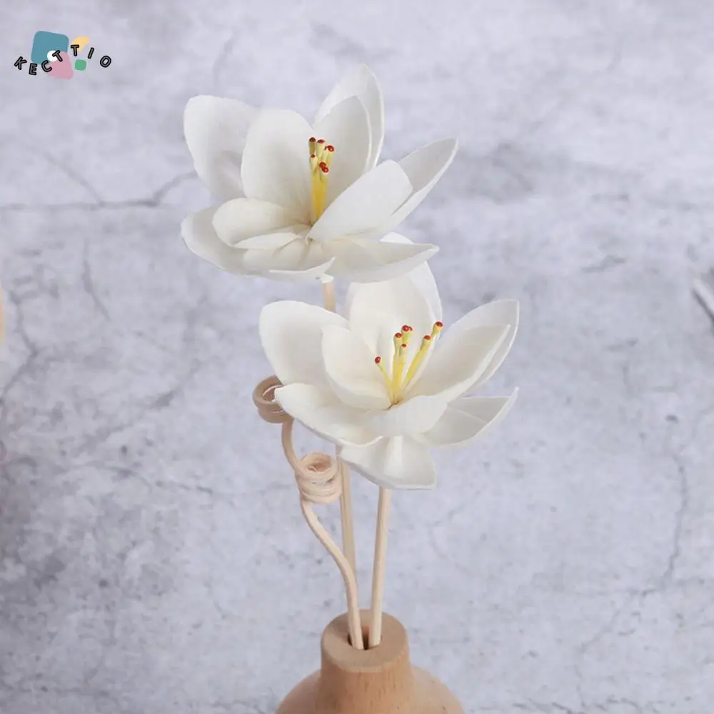 

Dyeable Lasting Handmade Fragrance For Home Living Room Volatile Dried Flowers Diffuser Sticks Aromatic Incense Tongcao Flower