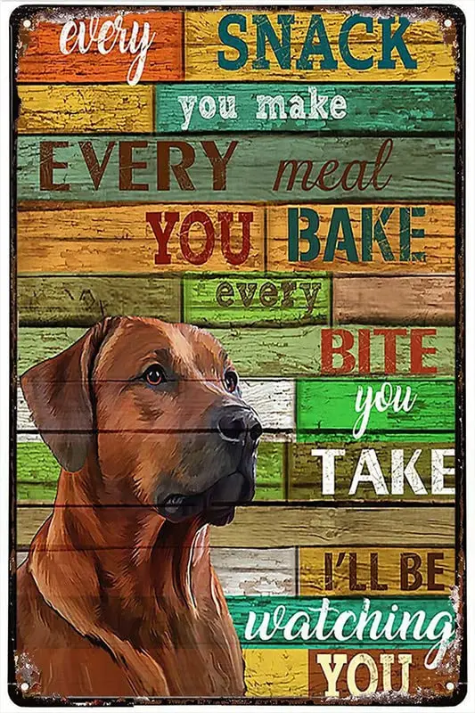 Vintage Metal Tin Sign Rhodesian Ridgeback Every Snack You Make Every Meal Metal Tin Sign Indoor & Outdoor Home Bar Coffee K