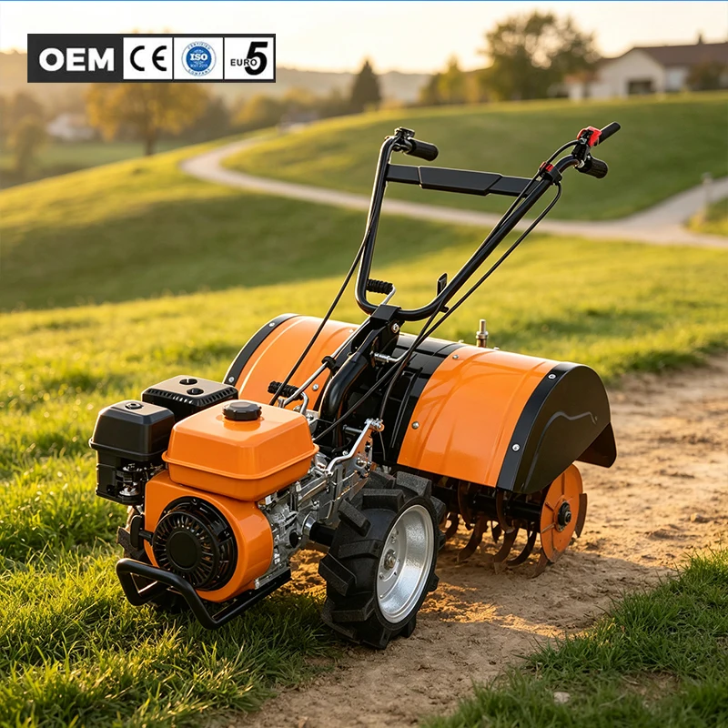 BISON(CHINA) Diesel Engine Hand Push Power Tiller High Productivity Multifunctional Garden & Farm Use 1 Year Warranty 120kg