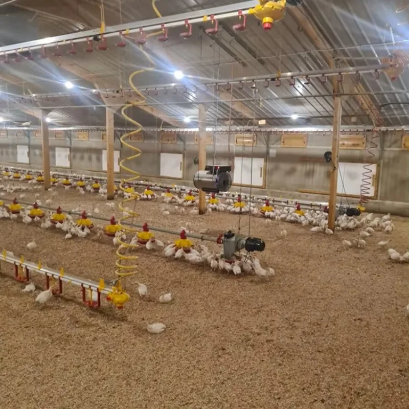 Wholesale Portable Greenhouse Electric Propane Natural Gas Poultry Fan Heater For Chicks