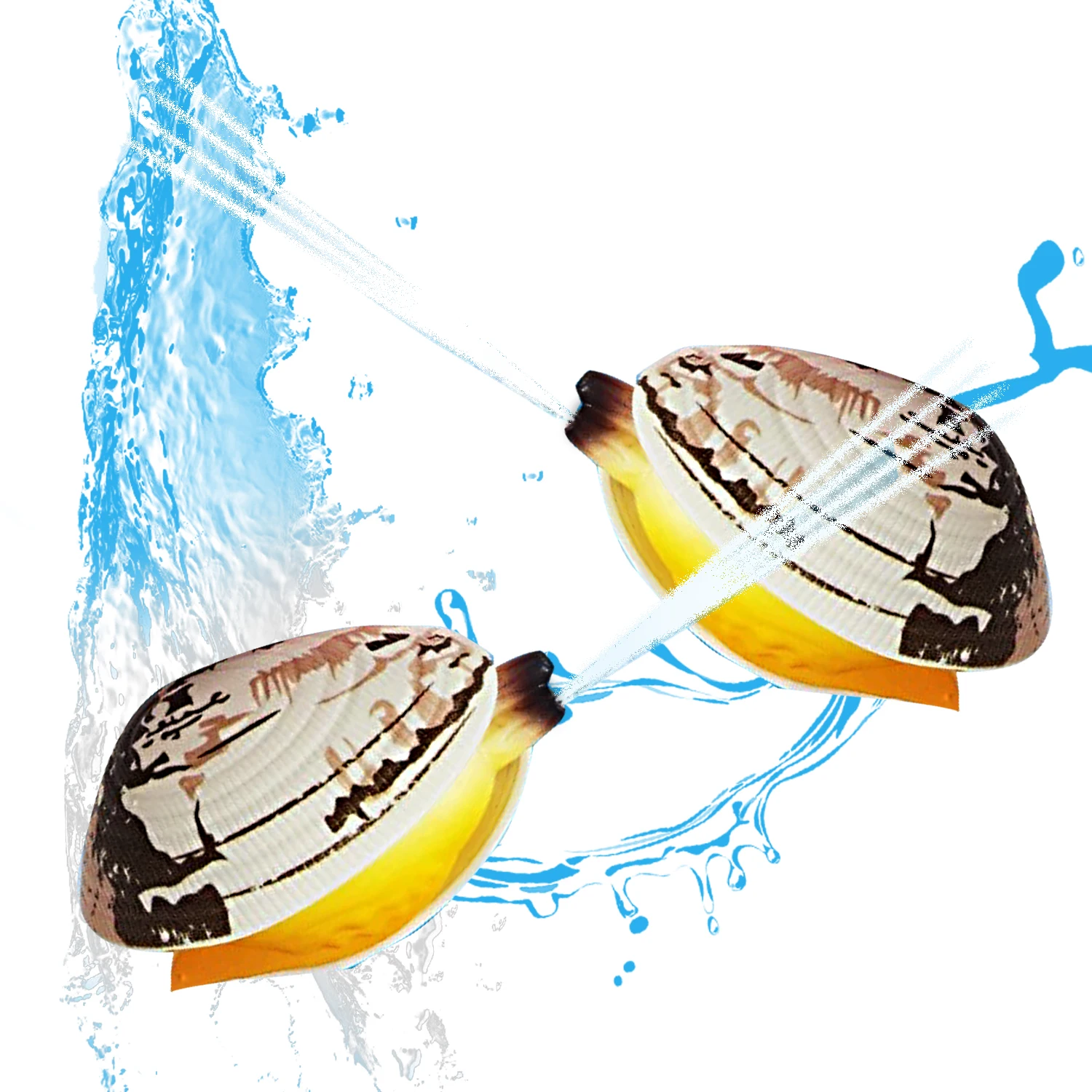 

Spray clam toy prank, water absorption, press simulation, shell type mini water gun, play in water