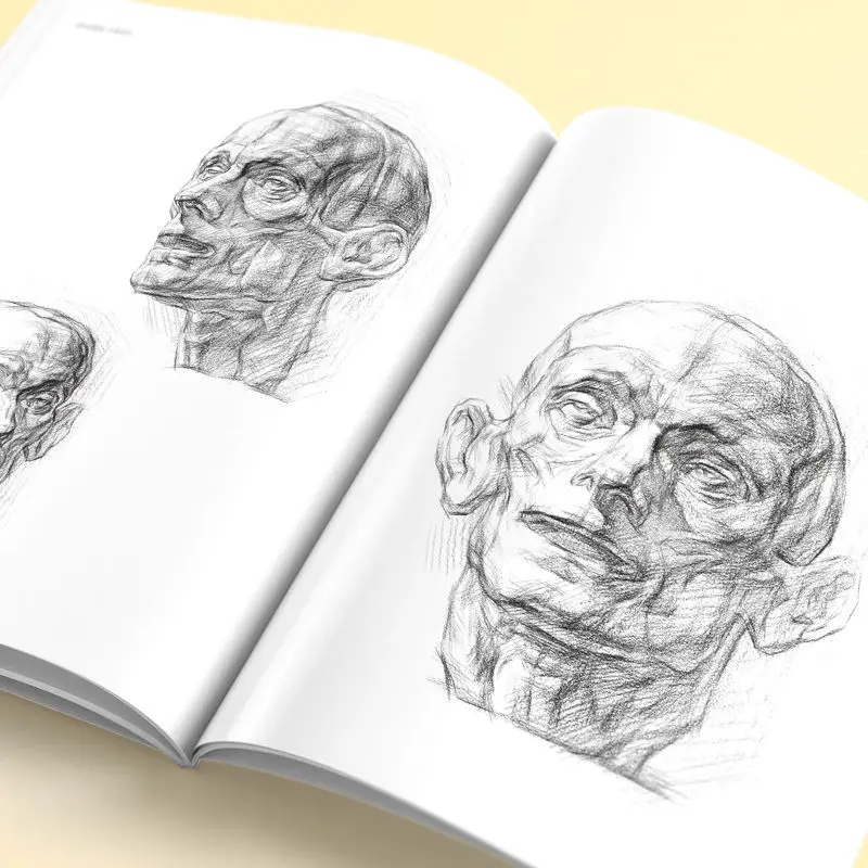 Sketching Getting Started Tutorial Book Figures Facial Features Muscle Skeleton Sketching Book Zero Based Sketch Drawing Book