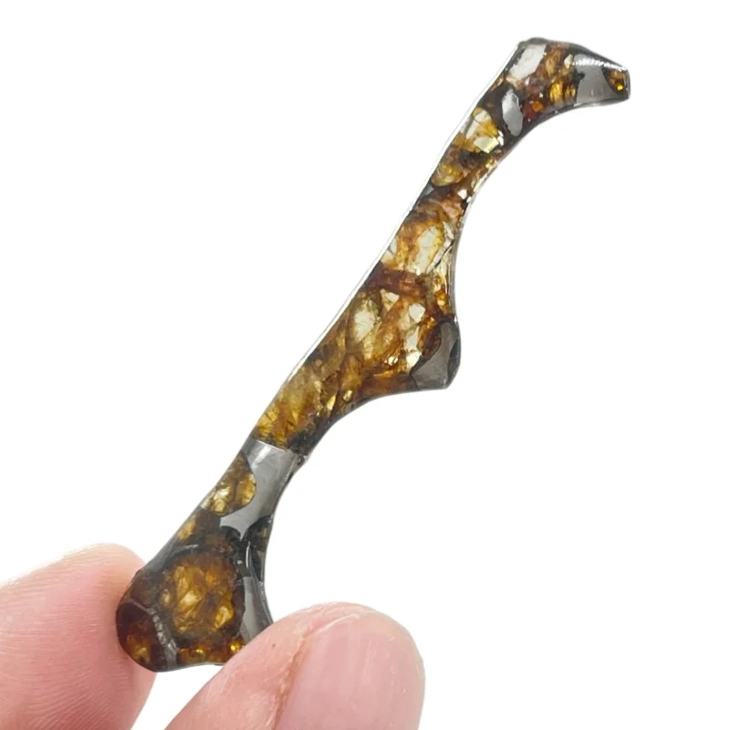 Seymchan Pallasite Meteorite Specimen Natural Olivine Meteorite Irregular Curved Slice Cut Polished Space Rock Collection -CA129