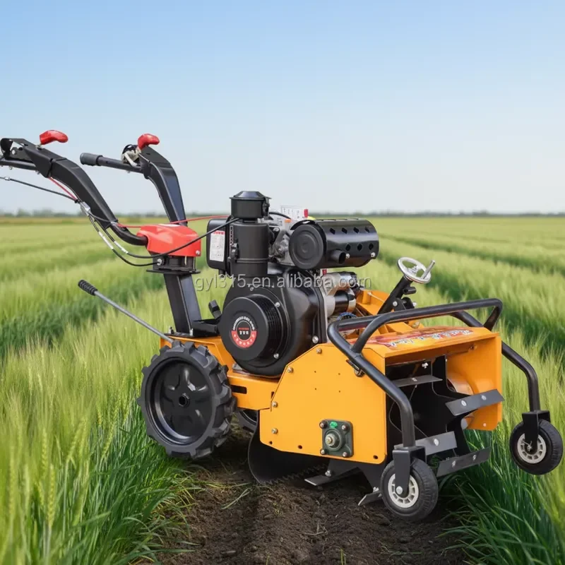 Fully Certified Multifunctional Diesel Engine Farm Cultivator 2 Rows 4-point Attachment for Arable Land Weeding Fruit