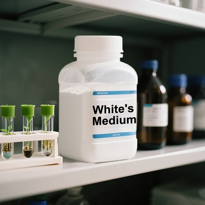 

White Medium Whthout Sugar And Agar Plant Tissue Culture Rooting Culture Monocotyledonous Plant Culture Seedling Culture Plant