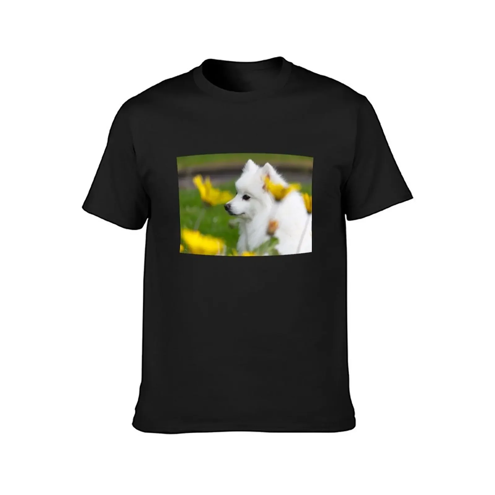 Spring Spitz T-Shirt street wear cute clothes designer t shirt men