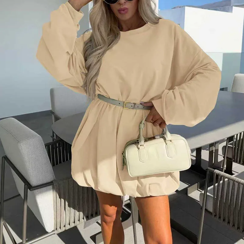 Autumn Winter Long Sleeve Sweatshirt Dress Woman Casual Round Neck Simple Pullovers Dress Fashion Solid A-Line Office Lady Dress