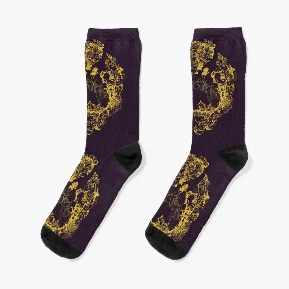 

Physarum Polycephalum III Socks halloween Rugby japanese fashion Men Socks Women's