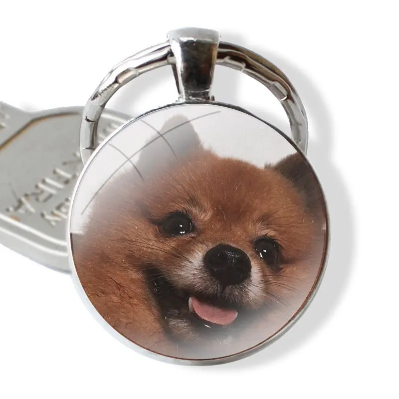 Pomeranian Keychain Handmade Glass Cabochon Key Ring Holder Pendant Key Chains