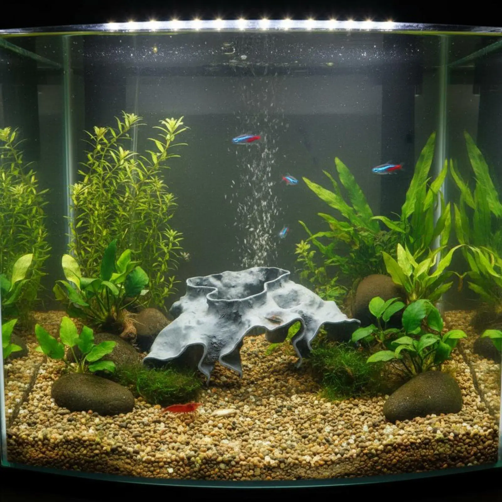 Aquarium Cave Decoration Observation Window Aquarium Hiding Cave Easy to Clean Crustacean Breeding Fishes Tank Ornament view 4