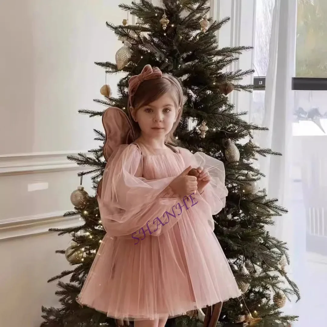 Princess Tutu Dress for Baby Girl Long Sleeve Infant Toddler Child Mesh Vestido Party Birthday Christmas New Year Baby Clothes 1 - view 5