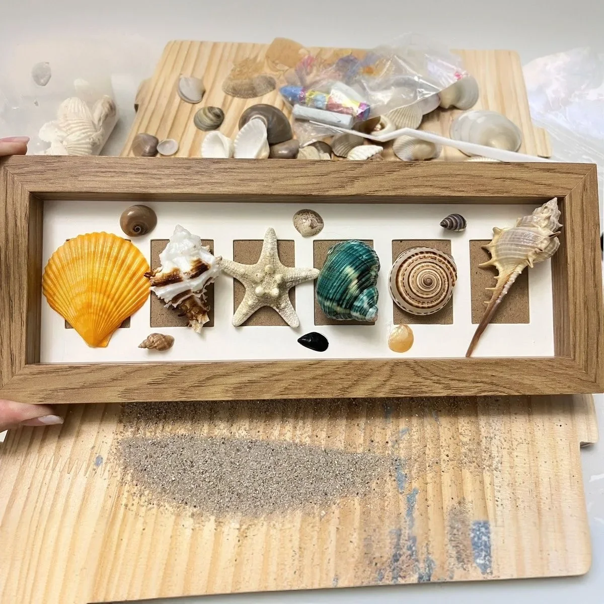 Natural Shell Conch Set, Children's Handmade Material Pack, Home DIY Decoration
