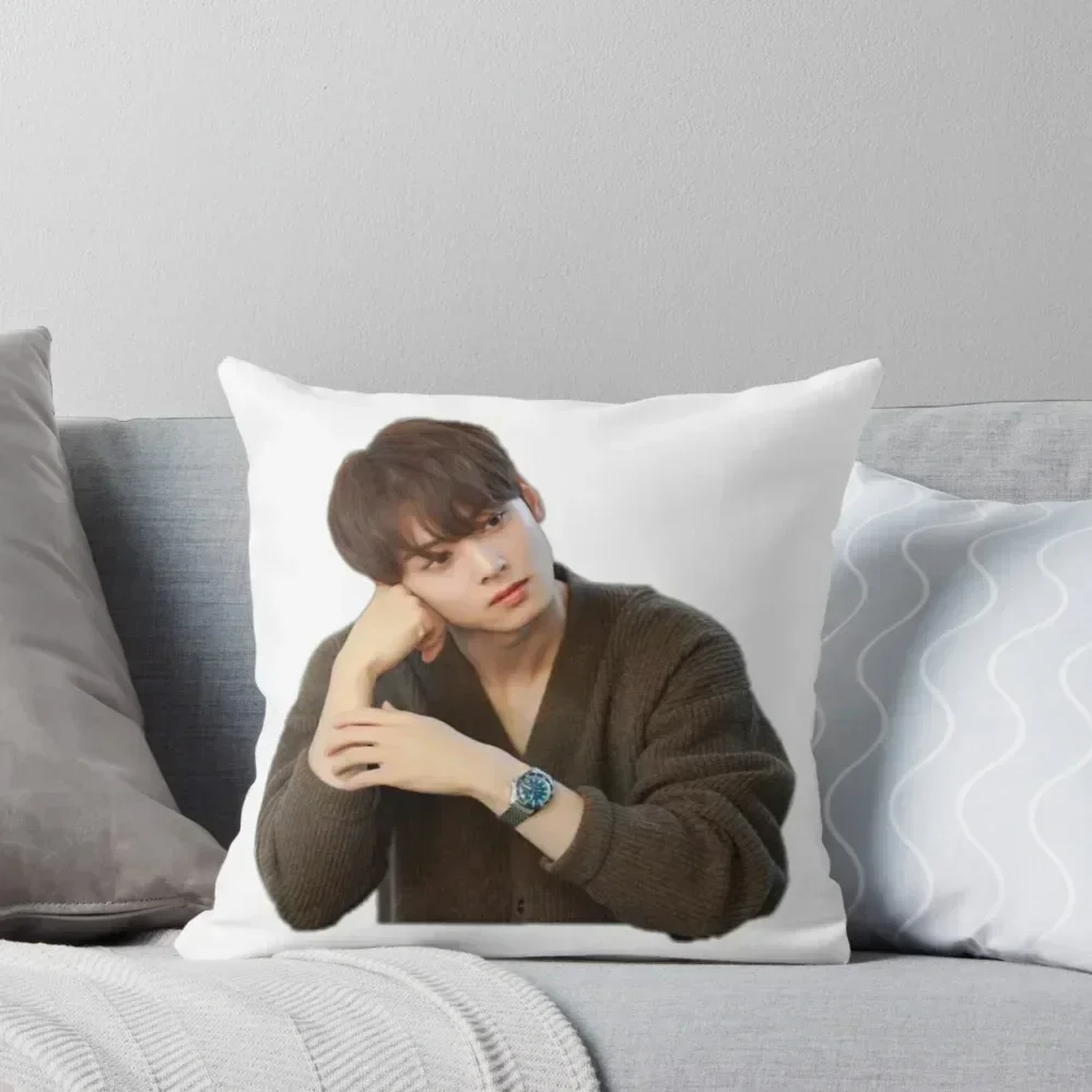 Cha eun woo Throw Pillow Covers For Sofas Sofa Cushions Room decorating items pillow