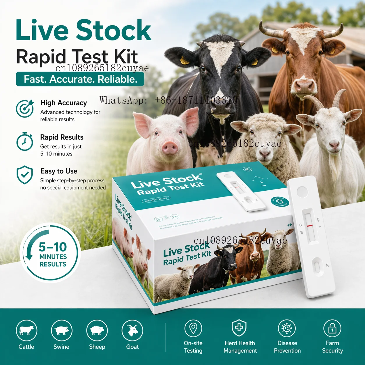 Petcare Mycobacterium Tuberculosis Antibody Test Card CE Certified Reusable for Animal & Human Use