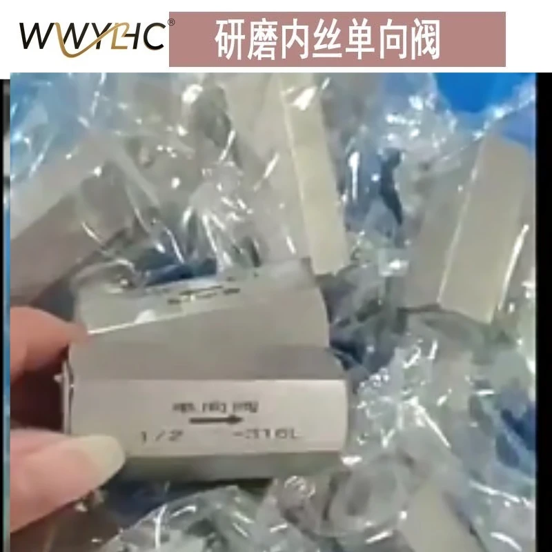 Suitable for Stainless Steel Double Inner Wire 304/316 Hexagonal Thread High-temperature Corrosion-resistant Check Valve