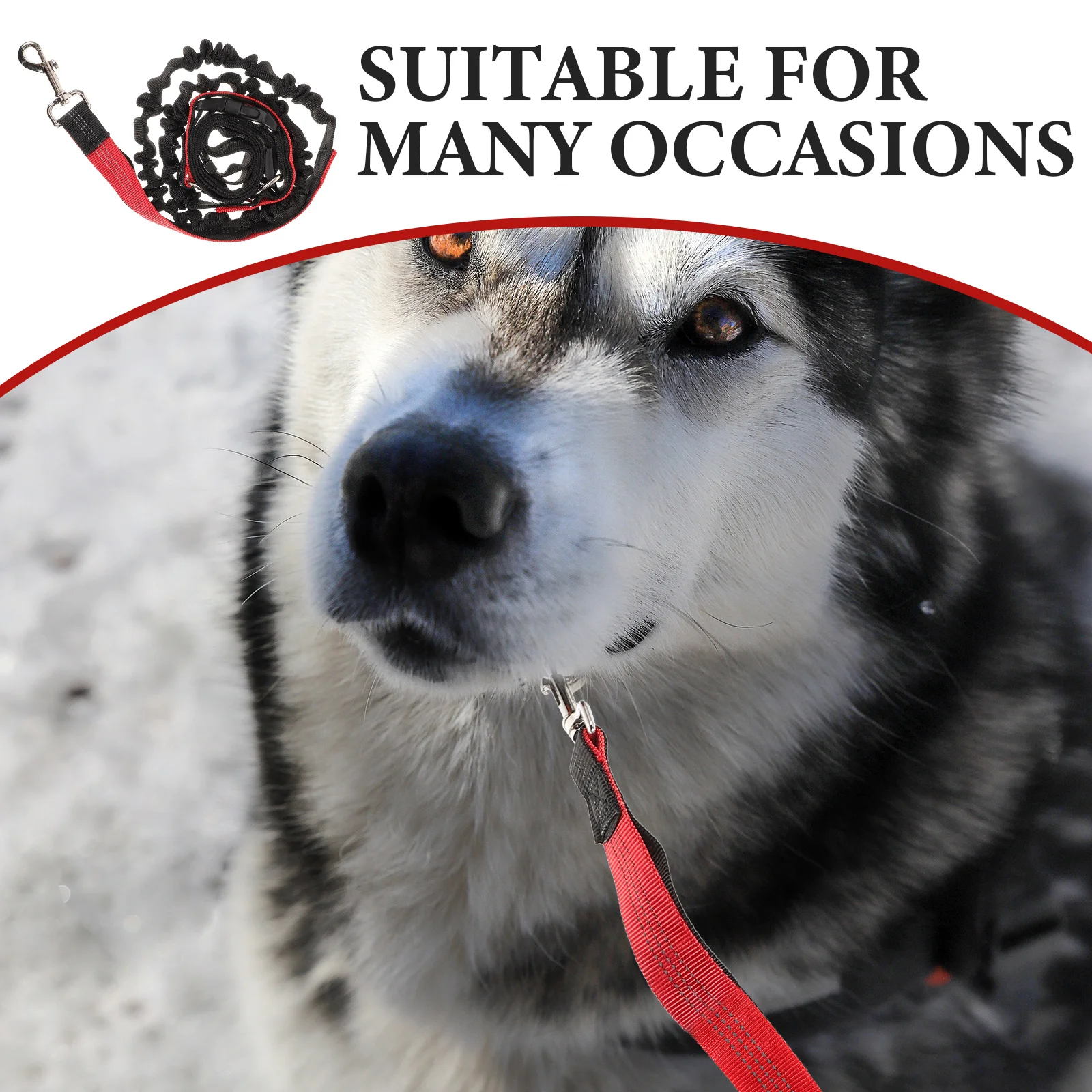 

Dog Leash Bright Stitching Rope Nylon Belt Visible Running Polyester for Training Adjustable