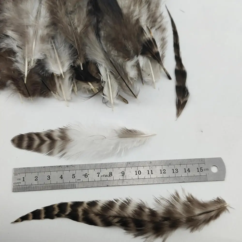 100 قطعة من ريش دجاج ماران الوقواق الطبيعي مقاس 4-6 بوصة يمكنك صنعها بنفسك مجموعة غير مصبوغة للديكور (عبوة واحدة) #6