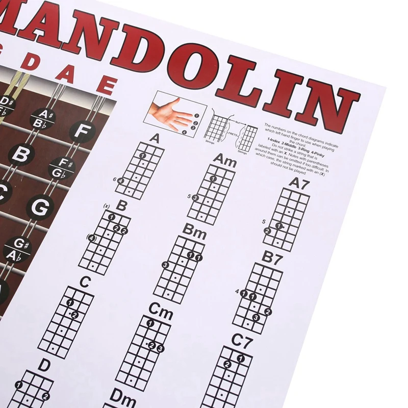 Mandolin Poster Chart Chord Musical Trainning Instrument Guide Chords Fretboard Fingering Chart