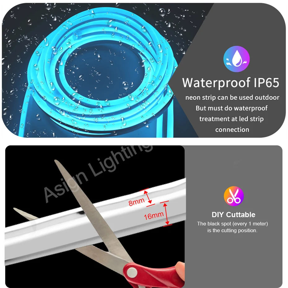 Dimmable RGB Neon LED Strip Light 5050 20m 30m 100m With EU Plug 1500W Adapter Remote Control Waterproof Home Garden Lighting