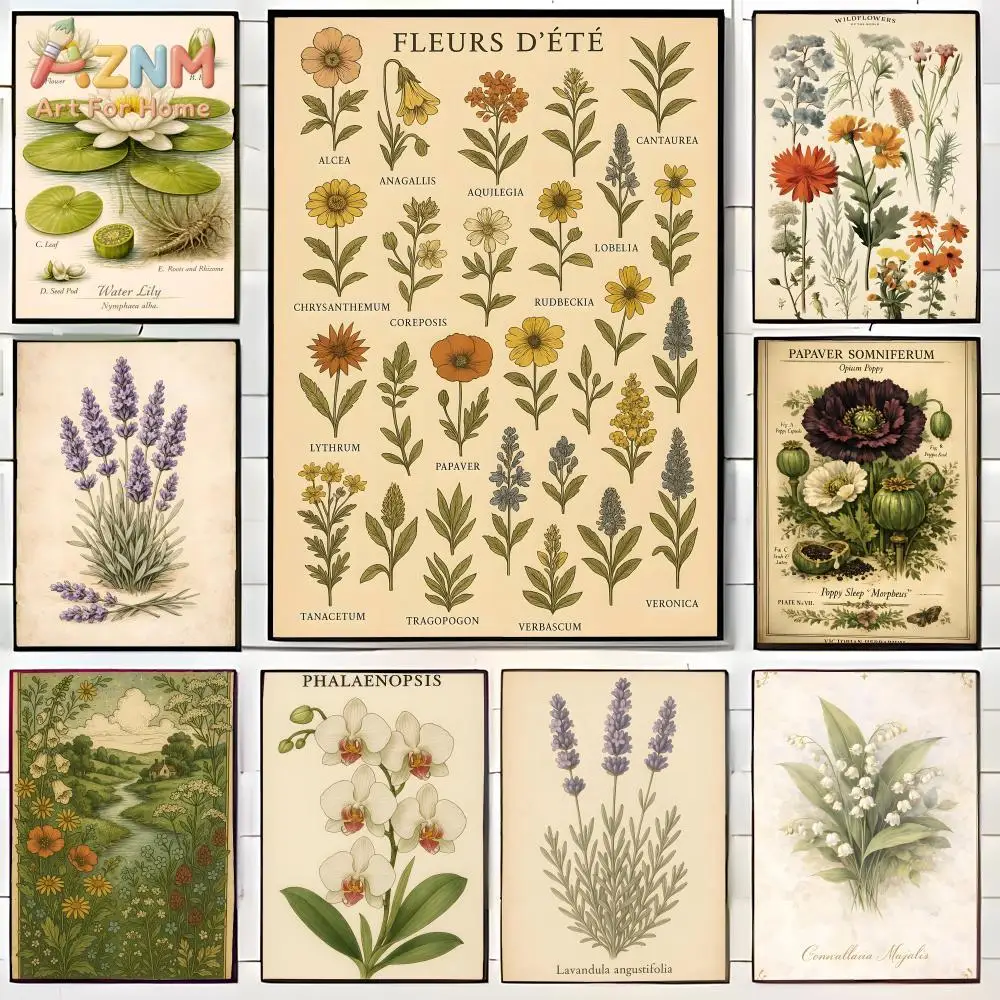 AZNM Vintage Botanical Flower Canvas Print Lavender Orchid Water Lily Poppy Summer Floral Science Chart Unframed Canvas Wall Art