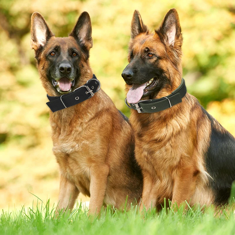 Benepaw Heavy Duty Tactical Dog Collar Durable Military Thick Soft Padded Puppy Pet Collar For Small Medium Large Dog Training