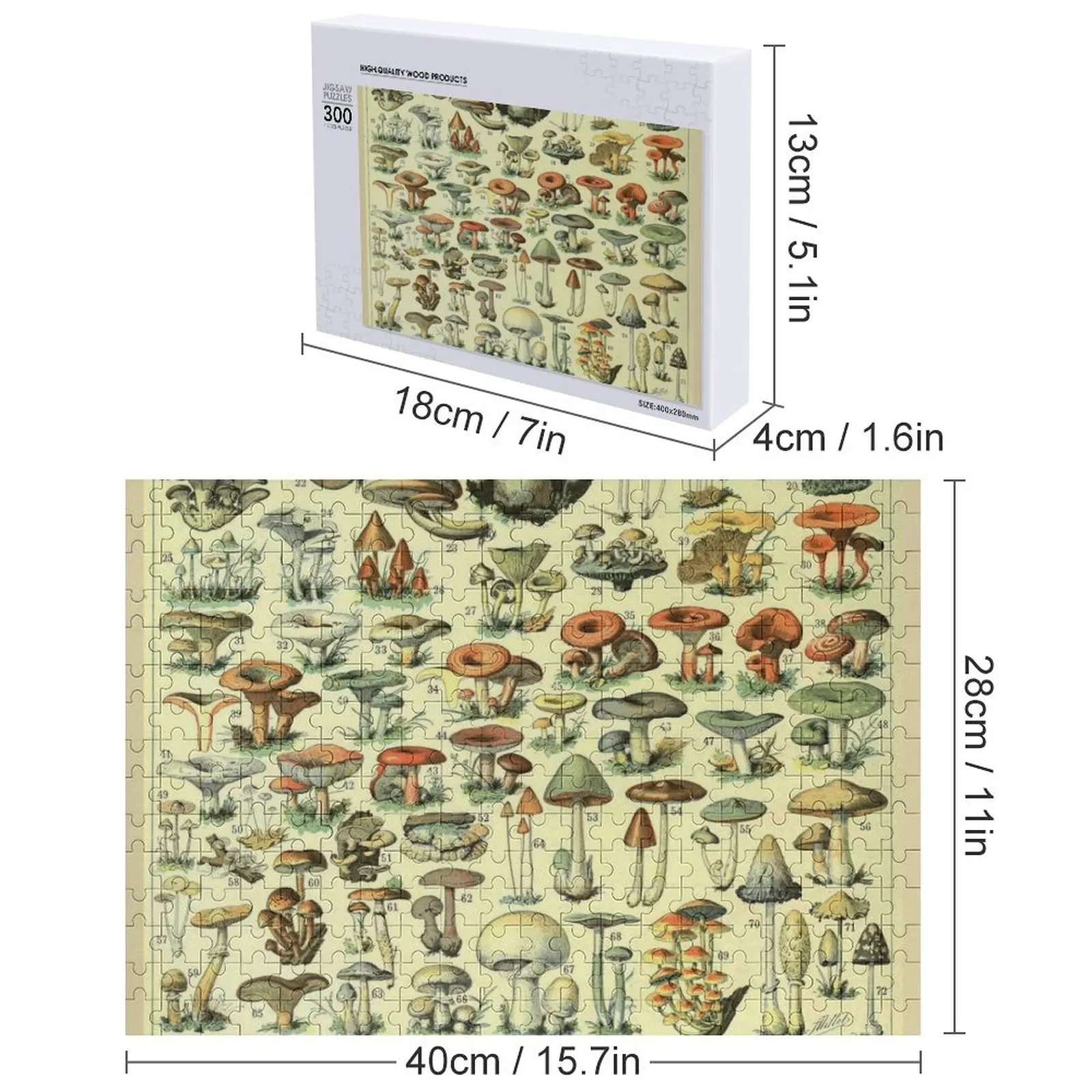 أدولف ميلوت Champignon B بازل قطع ديوراما اكسسوارات تخصيص هدية هدايا مخصصة للأطفال لغز