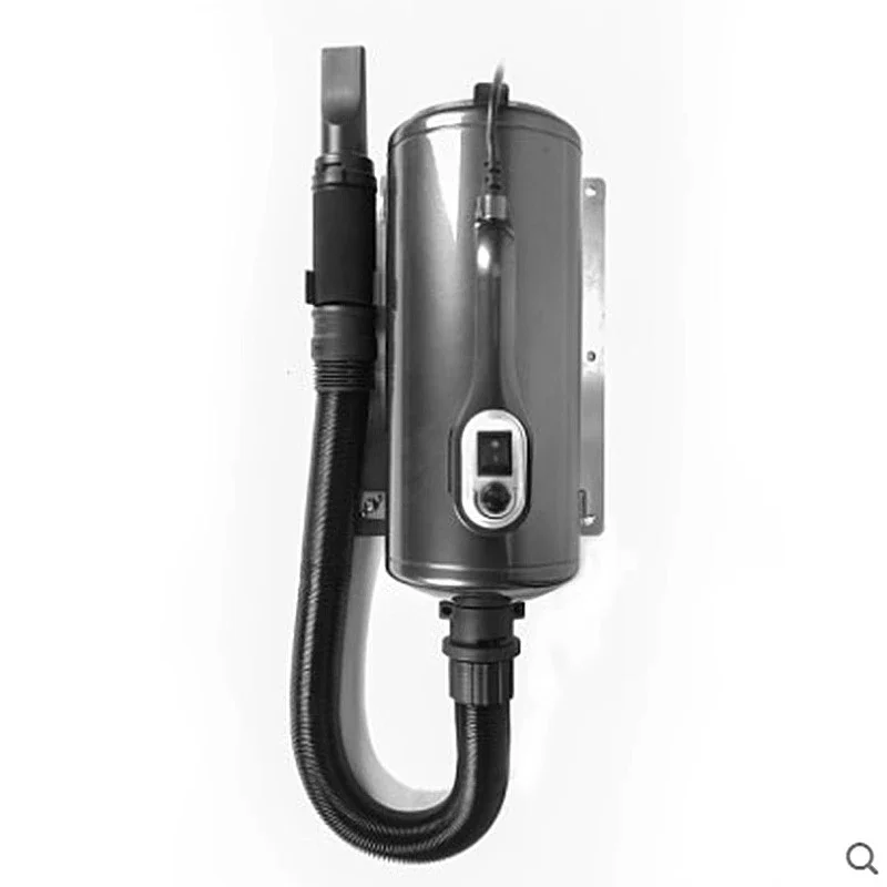 Haustier für große Hunde, Golden Retriever, Haartrockner für Hunde