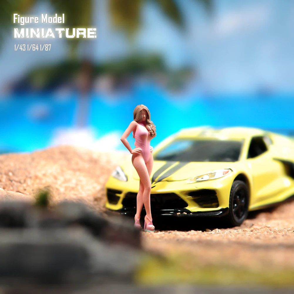 Painted Miniatures …