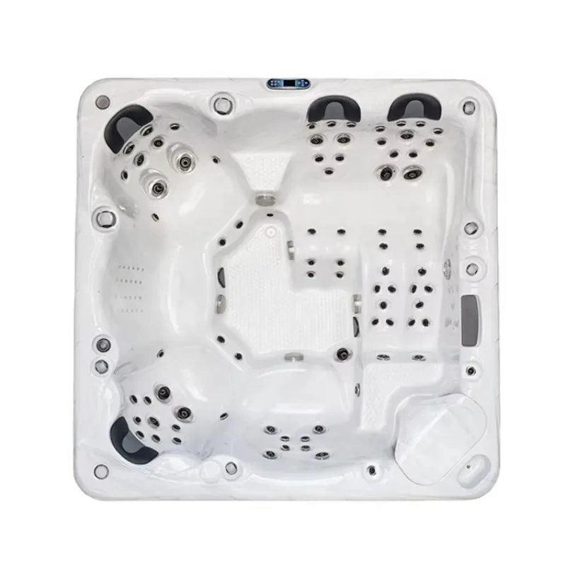 Customized 5-6 Person Freestanding Acrylic Swim Spa with Adjustable Massage Jets Energy Saving Design