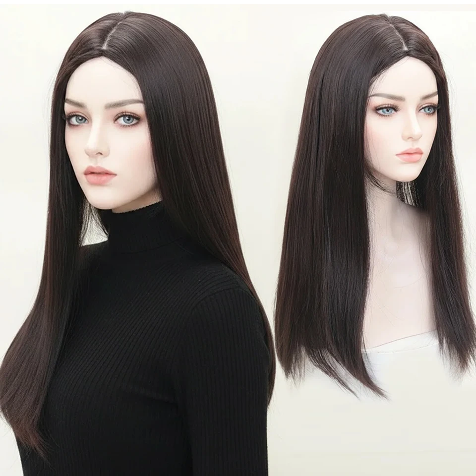 

Female Brown/Black Wig 24inch Synthetic Long Straight Hair Middle-Part Hairstyle Heat-Resistant Wigs for Women Daily