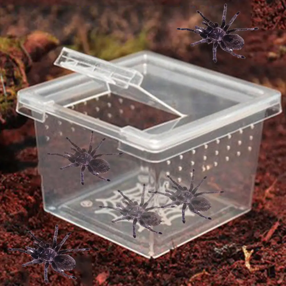 Lizard Reptile Breeding Box With Flip Cover Transparent Breathable For Frogs Snake Spider Portable Reptile Terrarium Habitat