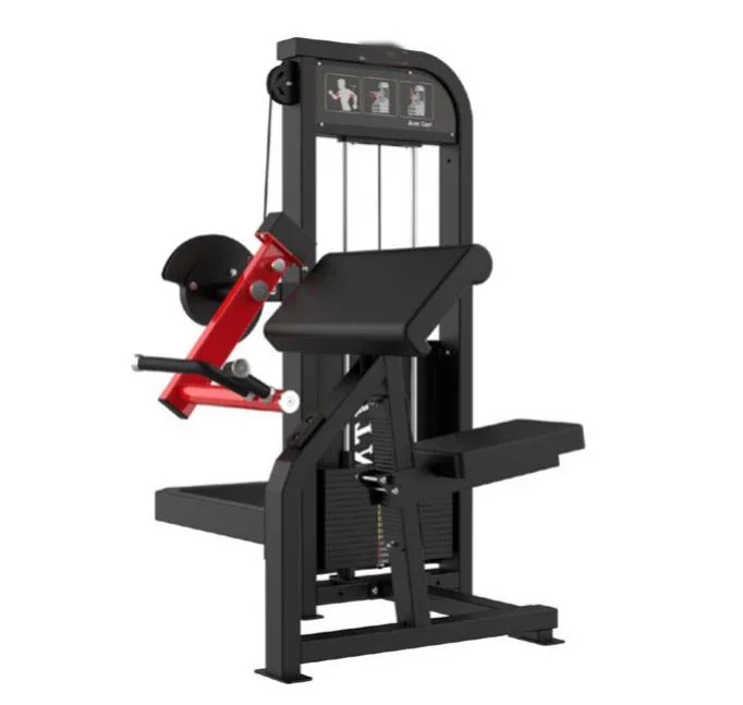

Health Gym Equipment Fitness Machine Pin Loaded Biceps Curl Factory Directly Selling