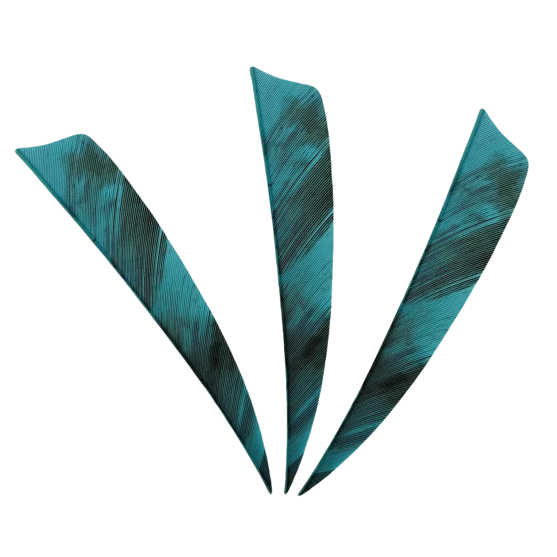 Variant: Turquoise