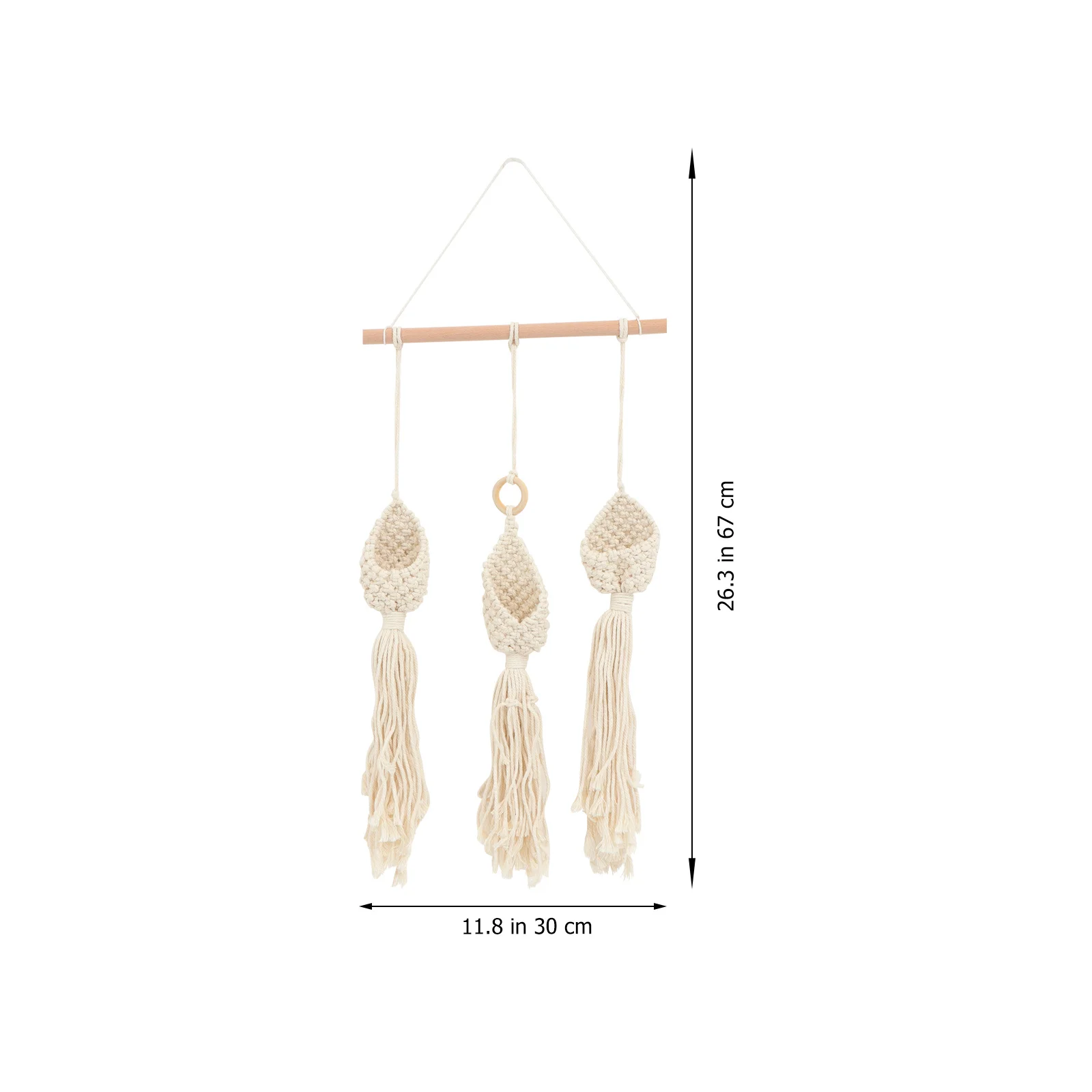 

Air Plant Hanger Cotton Rope Basket Stylish Hanging Plant Holder Decorative Wall Planter for Home Office Coffee Shop