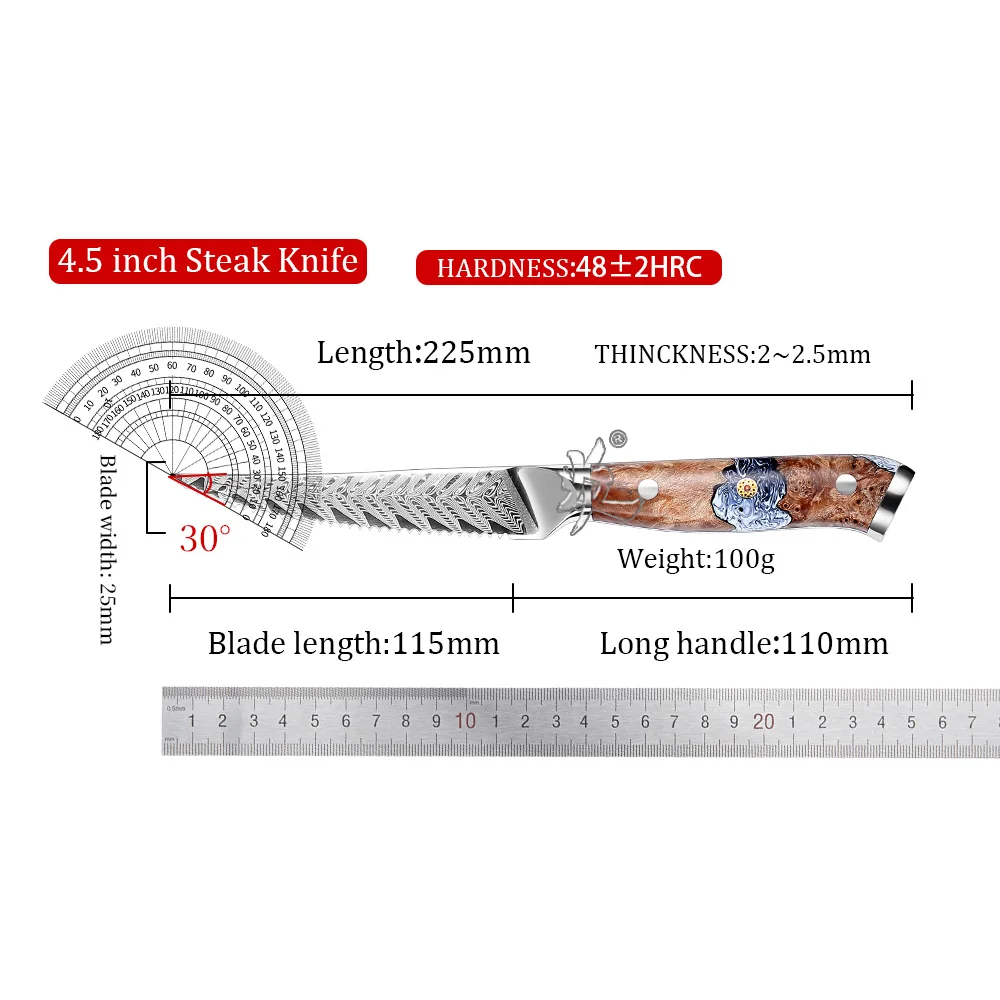 YAN  Professional Japanese Damascus Steel Chef Knife 67Layers VG10 Core Sharp 4.5 Inch Steak Knife Maple Burl Resin Handle