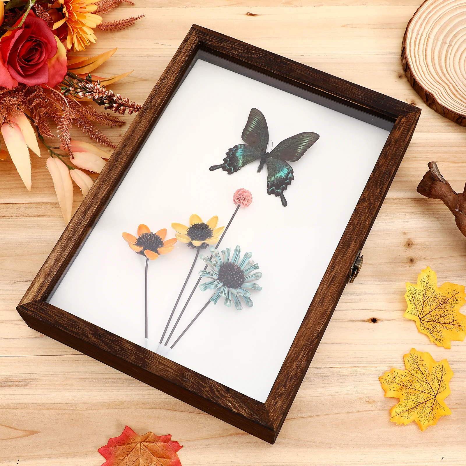 Specimen Display Box Transparent Acrylic Wood Storage Frame Retro Style Large Capacity Shadow Box Case Specimen Frame Jewelry